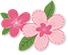 各地高校花式表白，黑龙江高校学子“花式”表白来啦