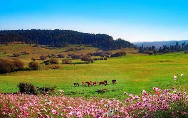 重庆有什么玩的，重庆必游五大景点介绍（重庆10大必玩景点）