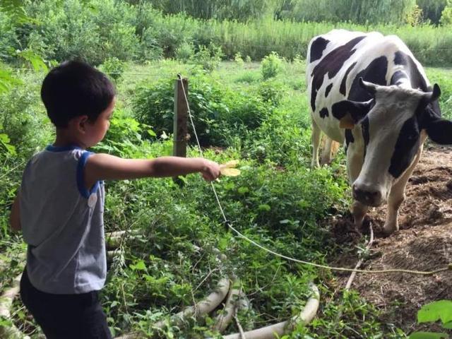 上海近郊有这么多亲子农场，浦东农场亲子游