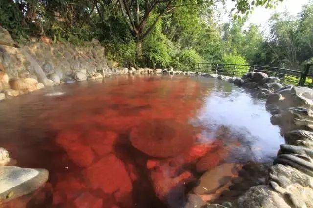 弥勒温泉哪家好，弥勒温泉推荐便宜（从私汤民宿到经济酒店）