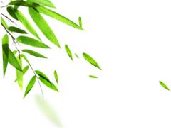 盘州哪里最值得游玩，就去盘州市看群星演唱会