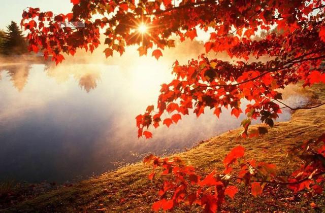 神农架自然景观介绍，探索自然的美丽风光