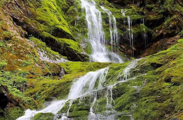 神农架自然景观介绍，探索自然的美丽风光