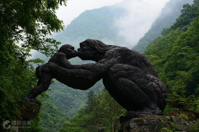神农架自然景观介绍，探索自然的美丽风光