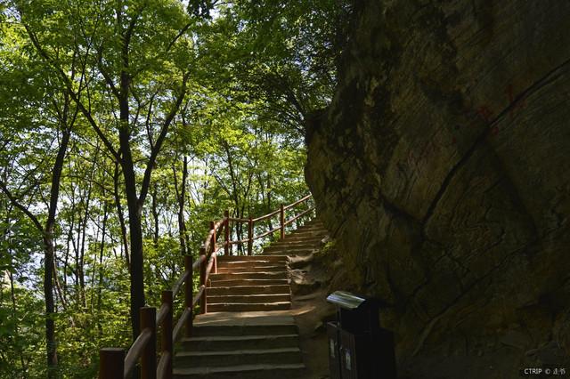 神农架自然景观介绍，探索自然的美丽风光