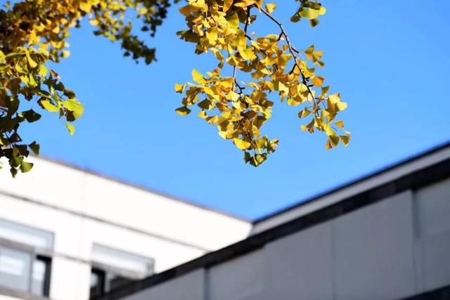 世界上消失的国家，从世界上消失的六个国家（5个社会主义国家和23个消失的国家）