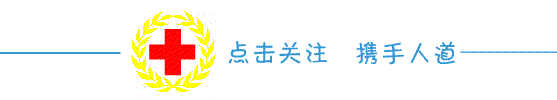 肥胖的人笨(肥胖的人做事慢又笨)
