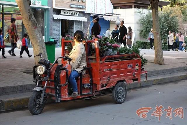 鱼化寨里的江湖，鱼化寨历史