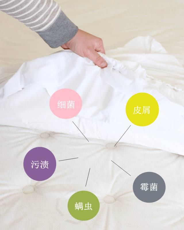 床垫脏了怎么清洗，床垫脏了在家怎么清洗（教你5招快速变干净）