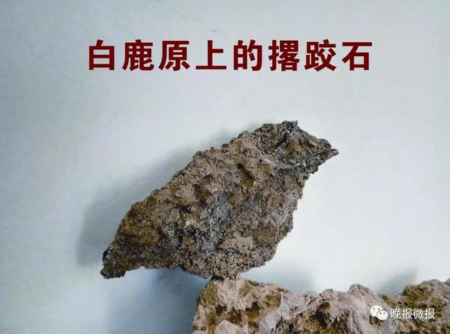 西安拍摄白鹿原，白鹿原影视城被命名为“陕西影视拍摄基地”