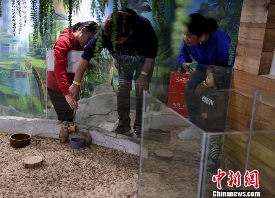 重庆动物园在哪里，重庆有几个大型的动物园