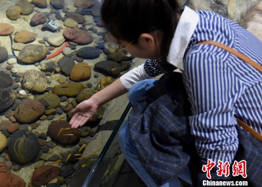 重庆动物园在哪里，重庆有几个大型的动物园