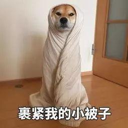 附近的温泉有哪些，重庆附近的温泉有哪些（这6家品质温泉请收好）