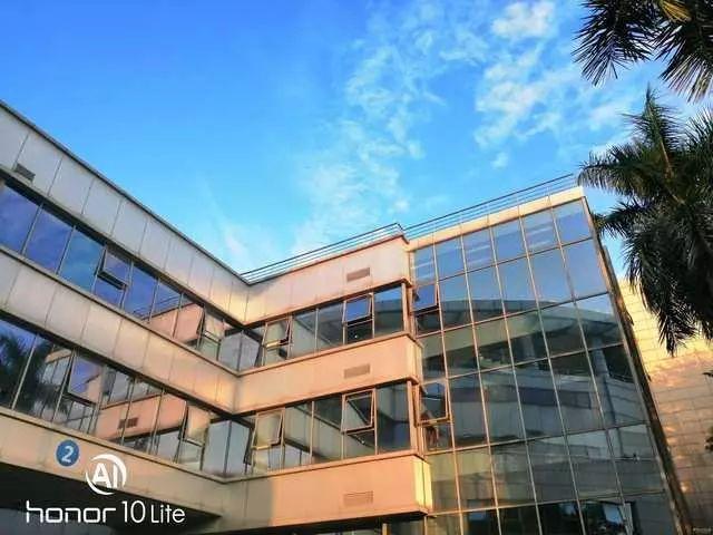 荣耀10青春版双11售价，为什么能在双十一热卖