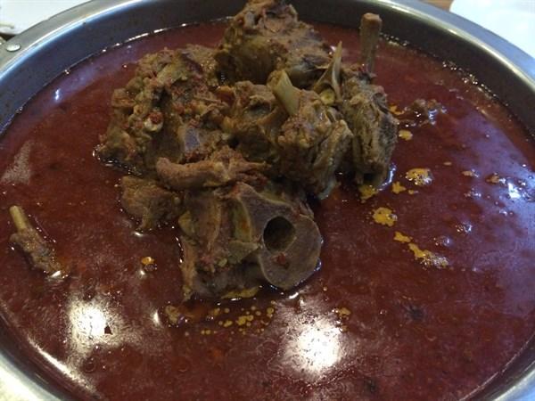 肥胖蝎子(蝎子脂肪高吗)