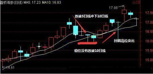 5日均线怎么看，5日均线图怎么看图解