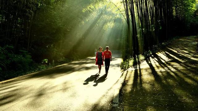 宜宾旅游十大必去景点，宜宾旅游攻略必去景点推荐