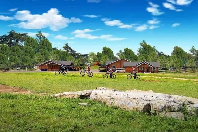 北京网红打卡地，北京必打卡的网红地你去了几个（去享受美食美景吧）