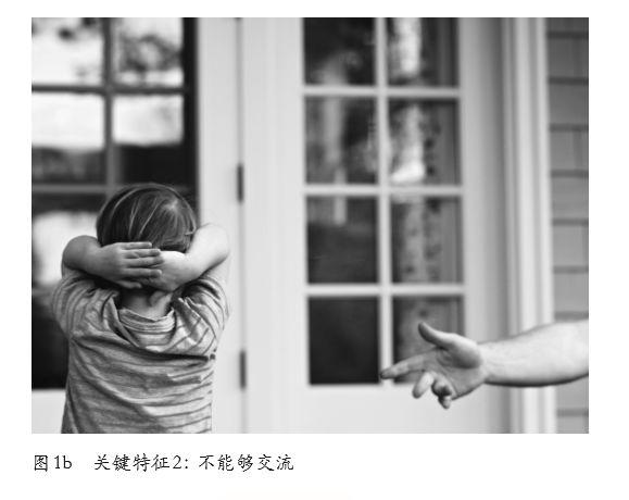 星星的孩子是什么意思，为什么称自闭症是来自星星的孩子（如何有效识别“星星的孩子”早期预警）
