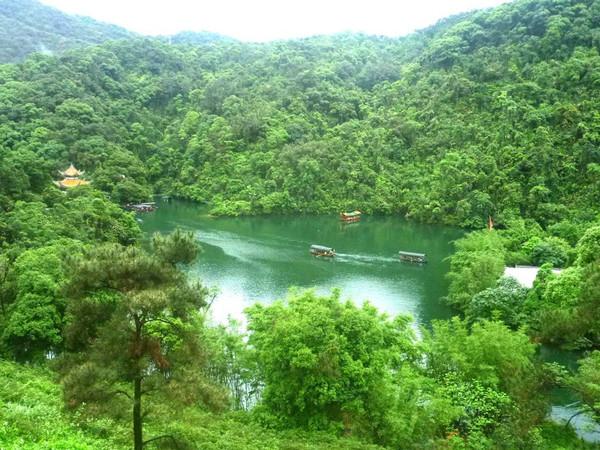 肇庆鼎湖山一日游攻略，五一肇庆七星岩鼎湖山亲子自驾游自由行攻略