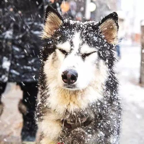 元旦低温天气预报，最新元旦天气预报