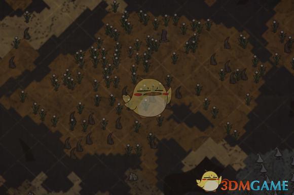 饥荒联机洞穴位置分布，联机版洞穴地形完全解析