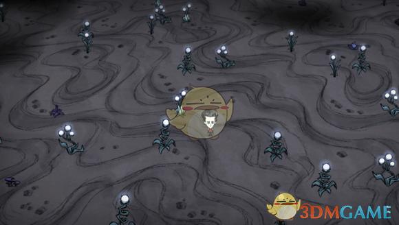 饥荒联机洞穴位置分布，联机版洞穴地形完全解析