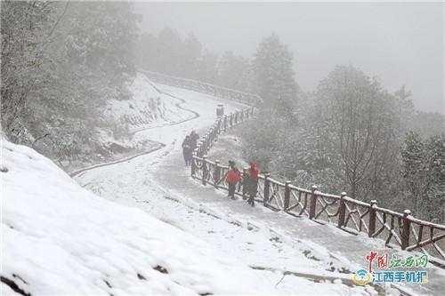 粉黛花海在抚州灵谷峰，灵谷峰冬韵之美