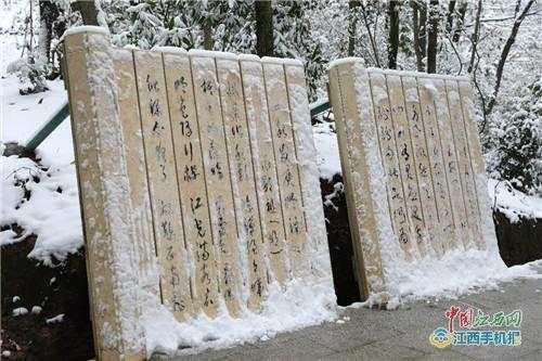 粉黛花海在抚州灵谷峰，灵谷峰冬韵之美