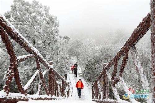 粉黛花海在抚州灵谷峰，灵谷峰冬韵之美