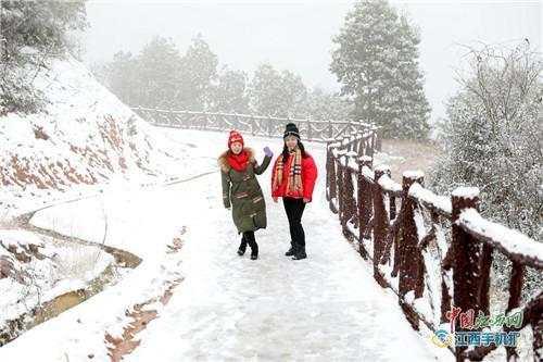 粉黛花海在抚州灵谷峰，灵谷峰冬韵之美
