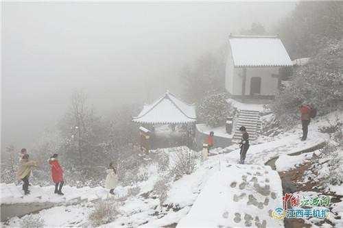 粉黛花海在抚州灵谷峰，灵谷峰冬韵之美