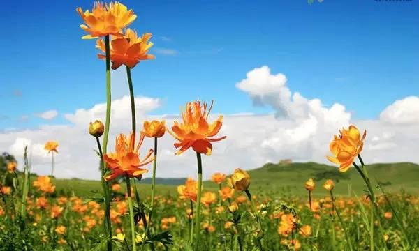 秋天河北必玩十大景区，河北必须要去的9个最美旅游景点全在这里