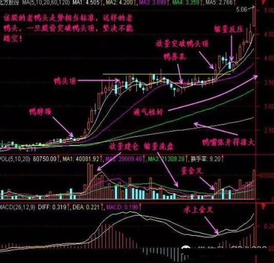老鸭头最好用的战法，短线战法之老鸭头