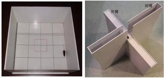肥胖对大脑的影响吗(肥胖对大脑的影响有哪些)