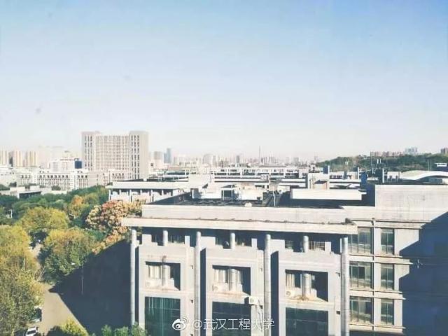 各地高校花式表白，黑龙江高校学子“花式”表白来啦