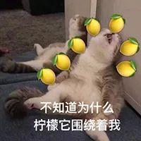 尖酸刻薄的用英文怎么说，年轻人都在自嘲