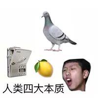 尖酸刻薄的用英文怎么说，年轻人都在自嘲