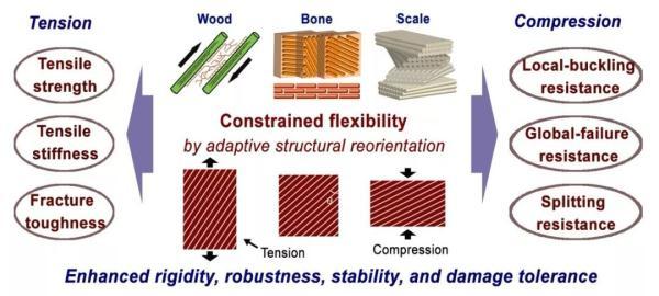 牙齿再生偏方有人试过没，牙齿自己修复滚滚