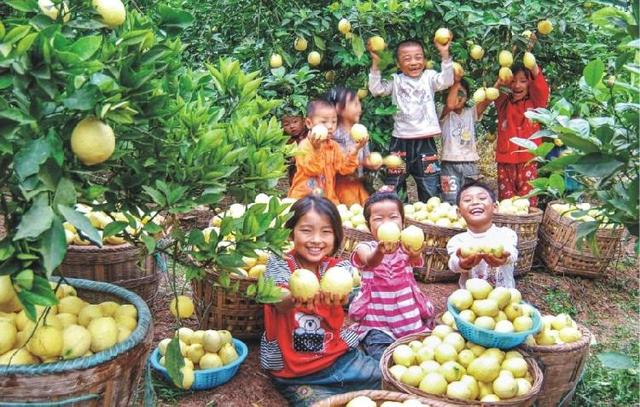 重庆市潼南区柠檬之乡，走向全球的柠檬之都