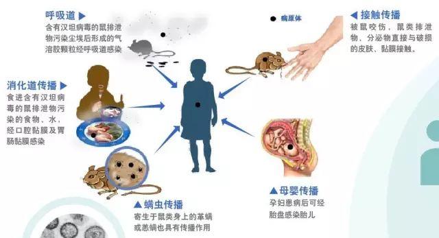 卫生健康知识小常识，各科医生总结的50个健康冷知识请收好