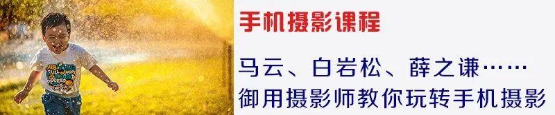 佳能相机镜头型号大全，15枚现款RF镜头哪些值得买