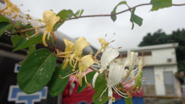 汕头出发南澳岛一日游，汕头南澳岛一夜游