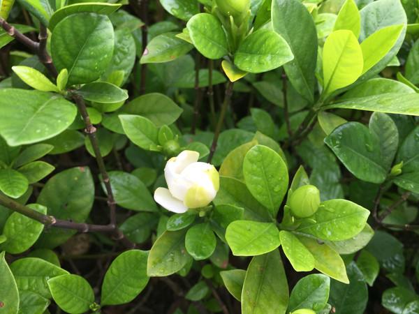 汕头出发南澳岛一日游，汕头南澳岛一夜游