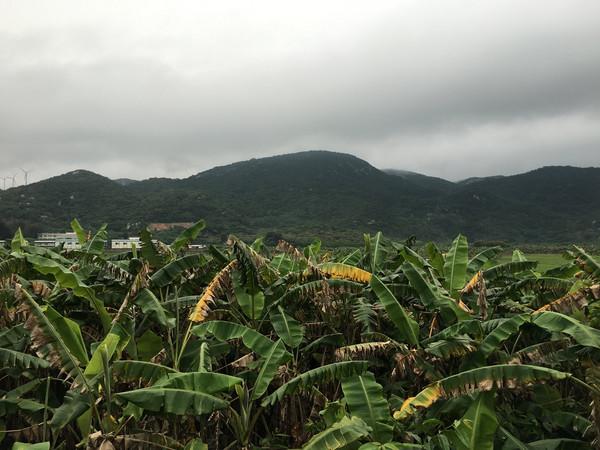 汕头出发南澳岛一日游，汕头南澳岛一夜游