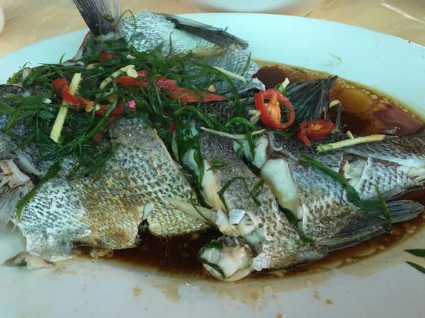 汕头出发南澳岛一日游，汕头南澳岛一夜游