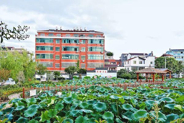 春节义乌旅游景点免费吗，义乌这些乡村和景点
