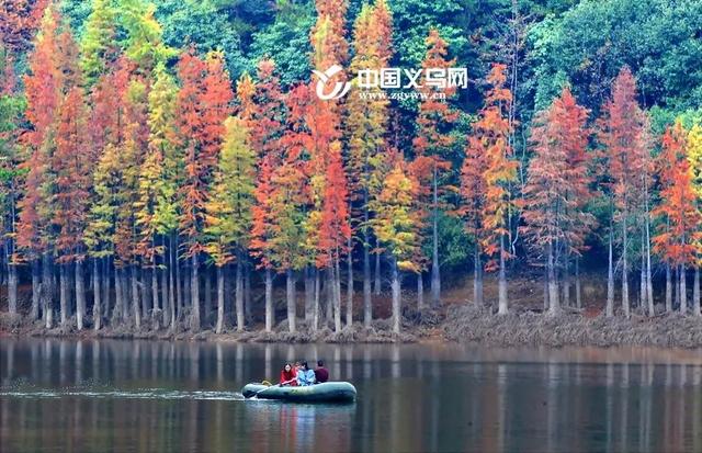 春节义乌旅游景点免费吗，义乌这些乡村和景点