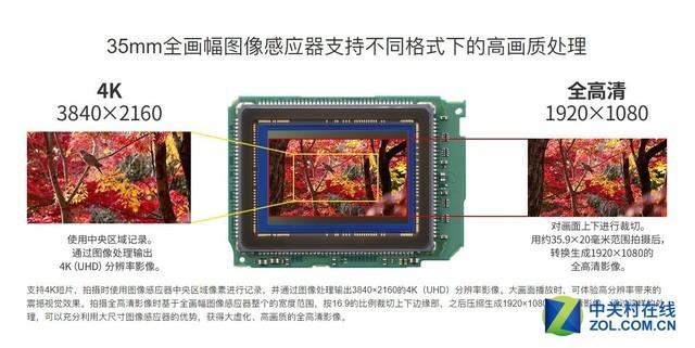 佳能eosrp为什么卖得这么火，RP有哪些吸引我们的地方