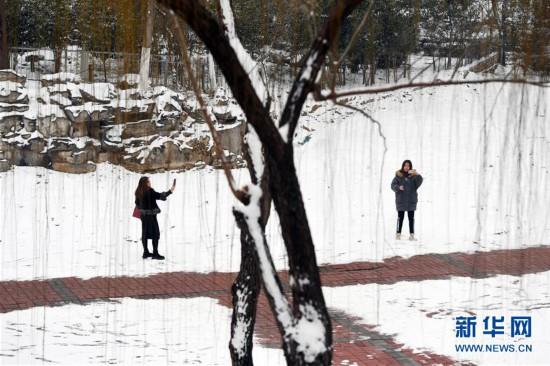 瑞雪兆丰年是哪首诗，瑞雪兆丰年